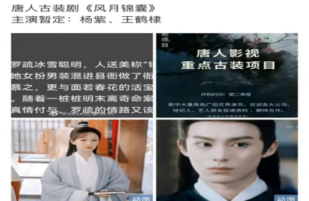 王鹤棣杨紫有cp感吗 网传杨紫王鹤棣出演风月锦囊