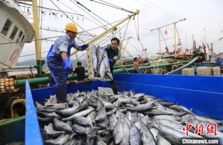 
                    浙江沿海防台见闻：船舶进港避风 万余名旅客完成转移
                