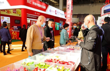 上海国际食品和饮料展览会展区划分