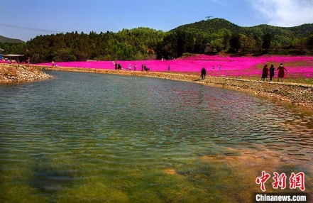 
                    一起体验“森呼吸” 山西太行洪谷康养旅游“清心养肺”
                