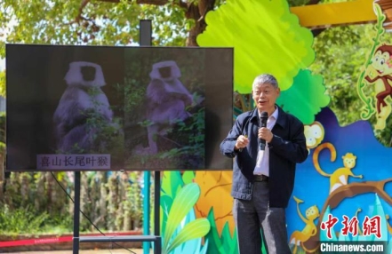 
                    上海野生动物园：已成功繁育了5只可爱的小长臂猿
               